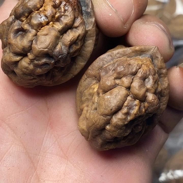 文玩核桃把件云南铁核桃98