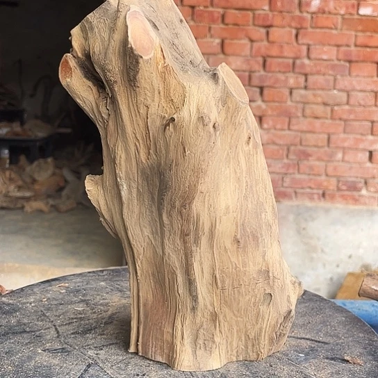 等***、香榧木崖柏崖柏崖柏