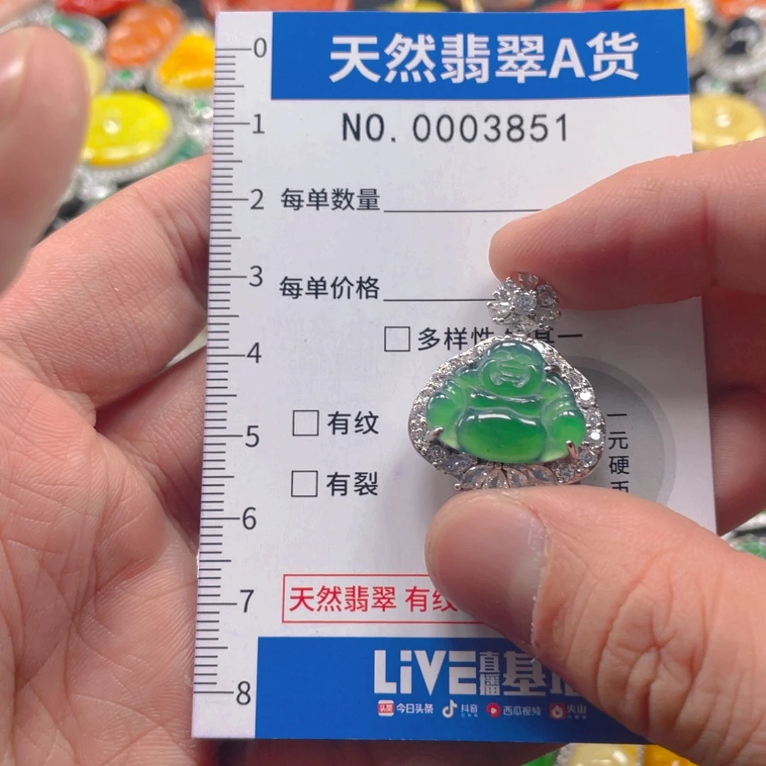 翡翠未镶嵌吊坠(不含链)