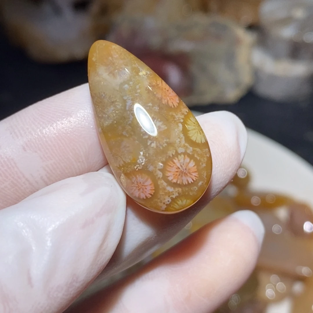 【闪购商品】硅化玉颈饰未镶嵌