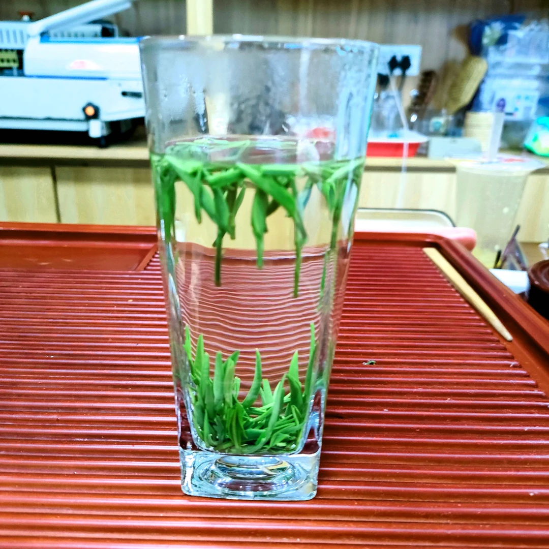 2025竹溪新茶明前箭茶鲜嫩高山绿茶