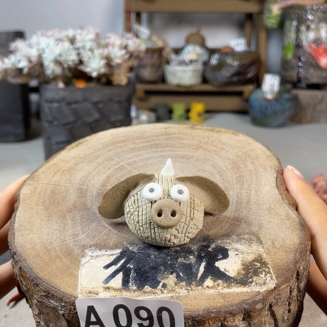 紫砂花盆开播福利 陶瓷压盆石默认微次