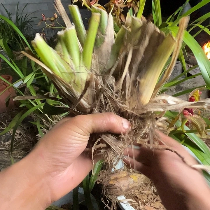 完全开放1111111111，