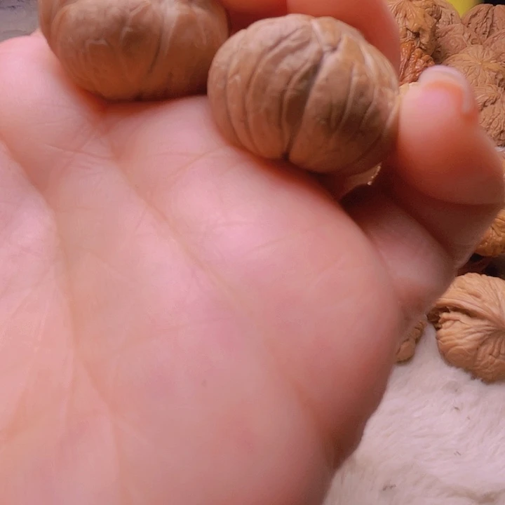 T****e核桃核桃核桃核桃