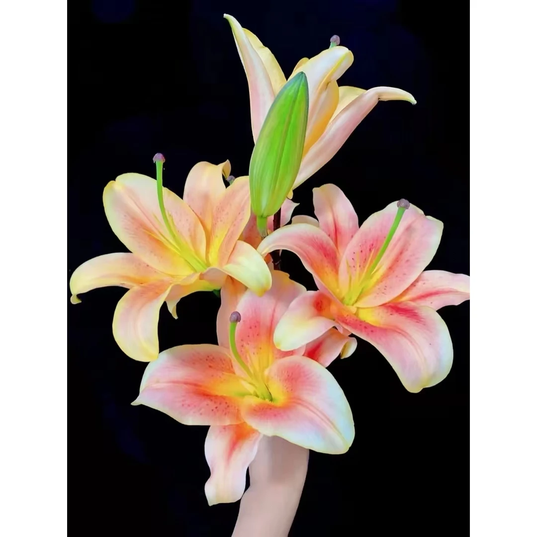 63稀有一见钟情百合4支4朵+初吻康乃馨10支+小太阳向日葵3支