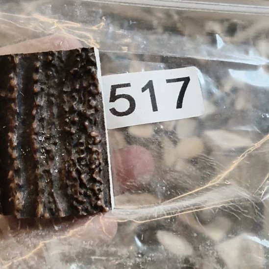 博***览鹿角鹿角鹿角鹿角鹿角鹿角