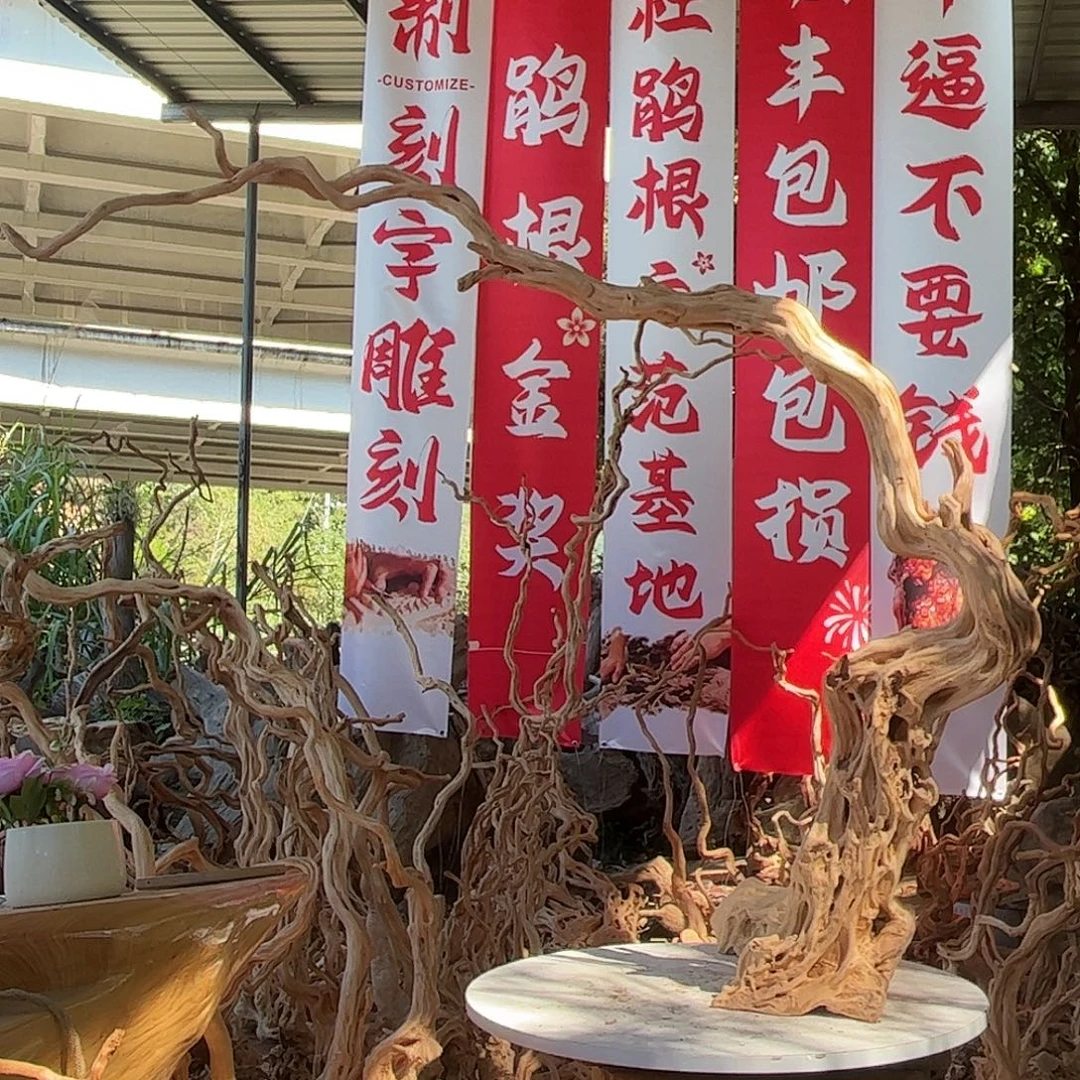 振***割木我们一起加油加油吧