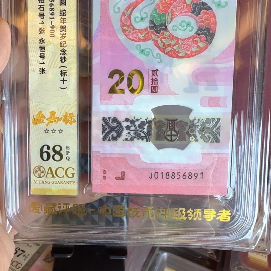 塑料2025蛇钞 标十 啊啊啊啊啊