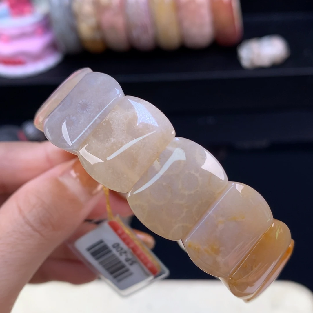 硅化珊瑚（珊瑚玉）未镶嵌颈饰五折漏价手牌2号