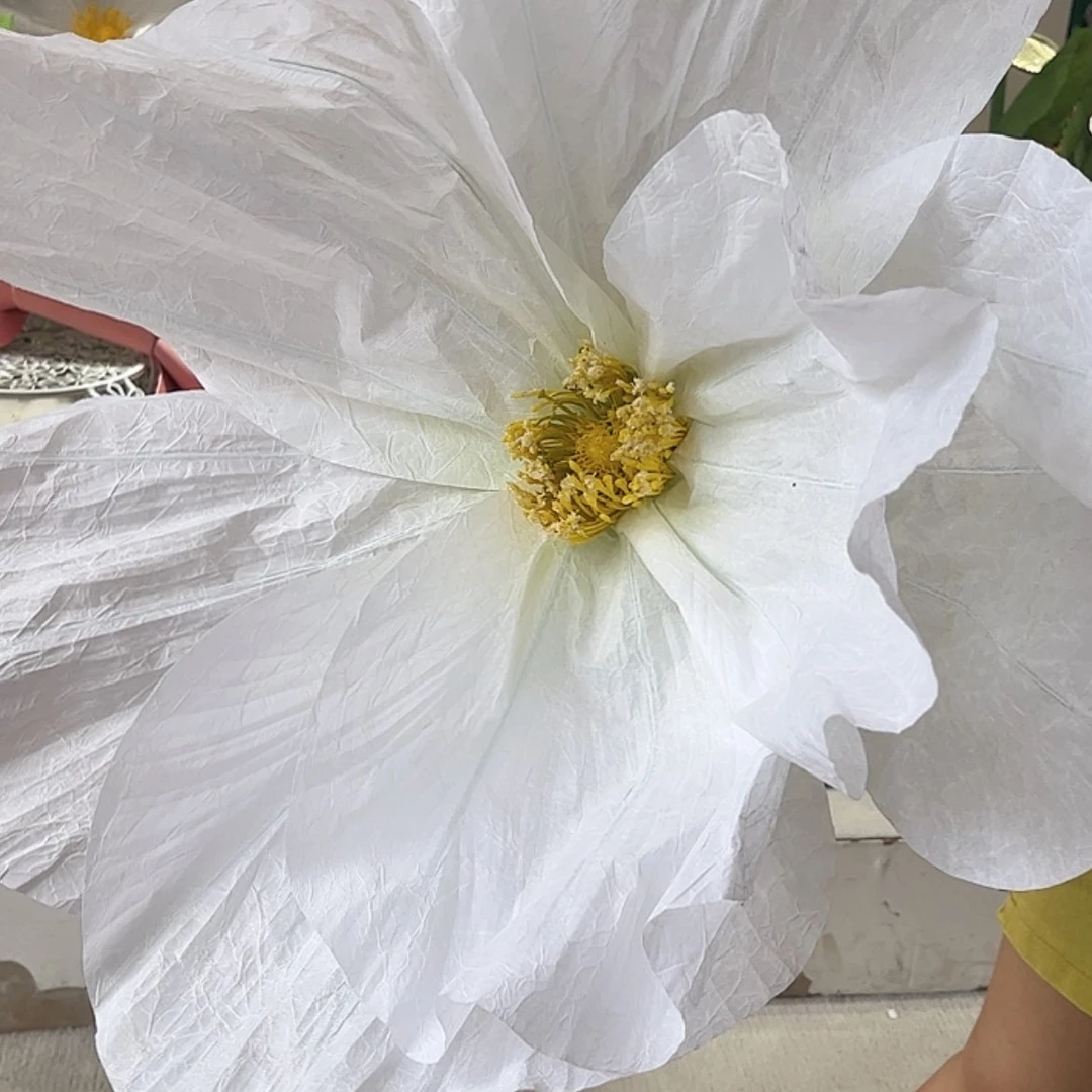 【闪购商品】单花头