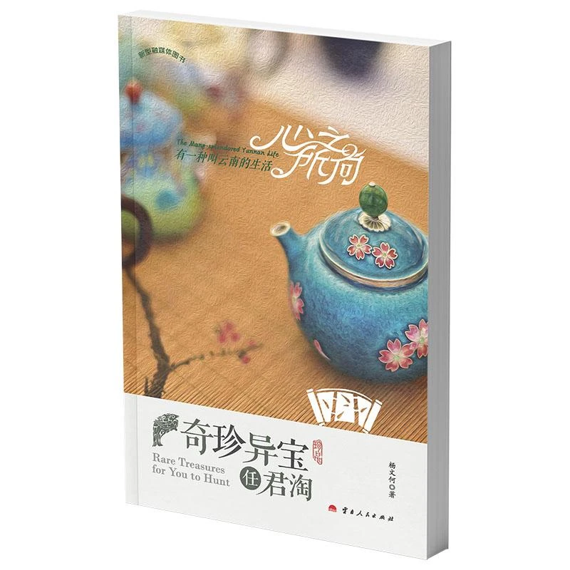 奇珍异宝任君淘/心之所向有一种叫云南的生活  杨文何 著