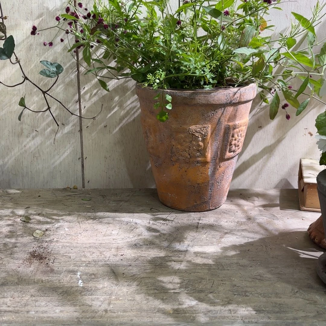 许纯的花房 四方花复古色