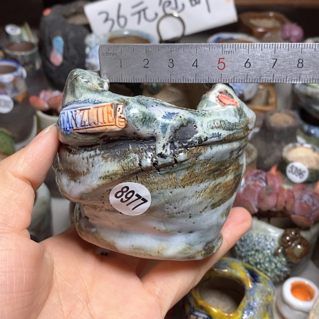 拍1送一个小礼物