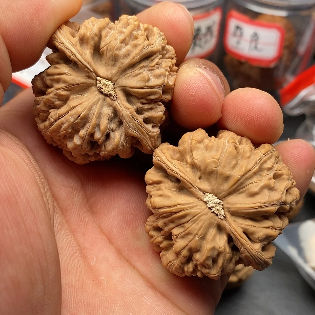 文玩核桃把件1*145粗筋