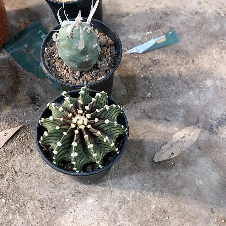 @****产3333333333333