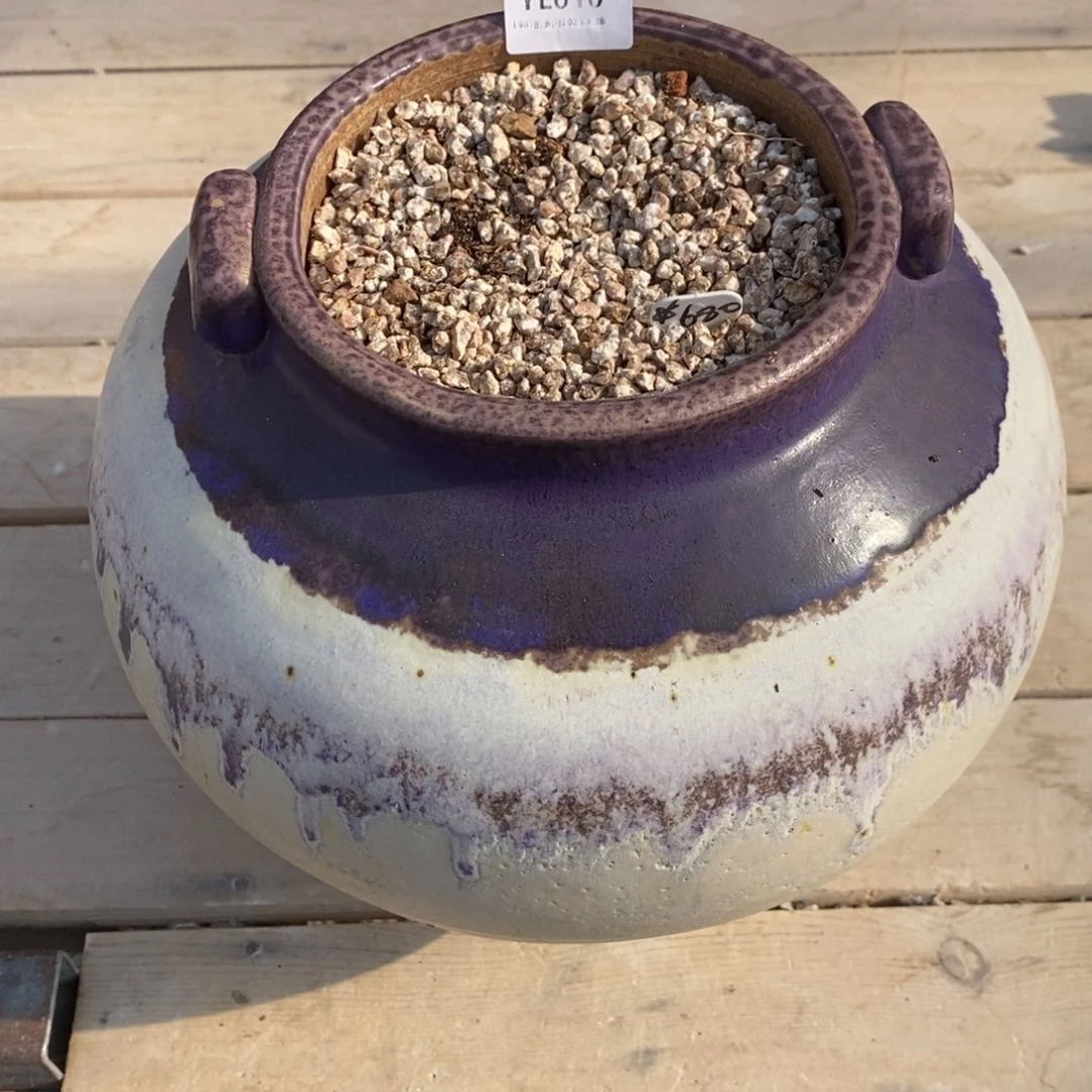 粗砂花盆精品ye010 盆盆盆盆盆