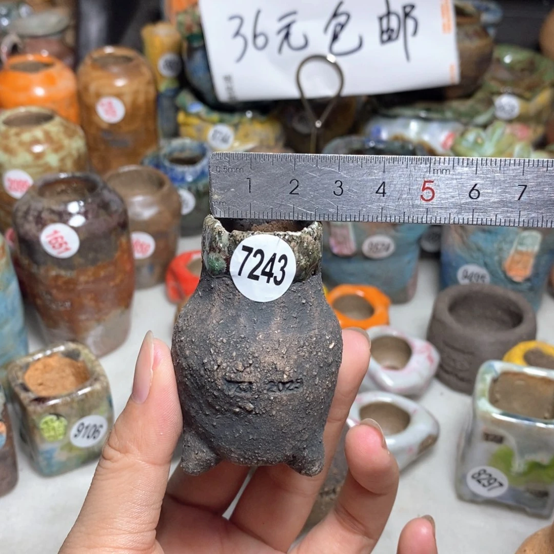 拍3送一个小礼物