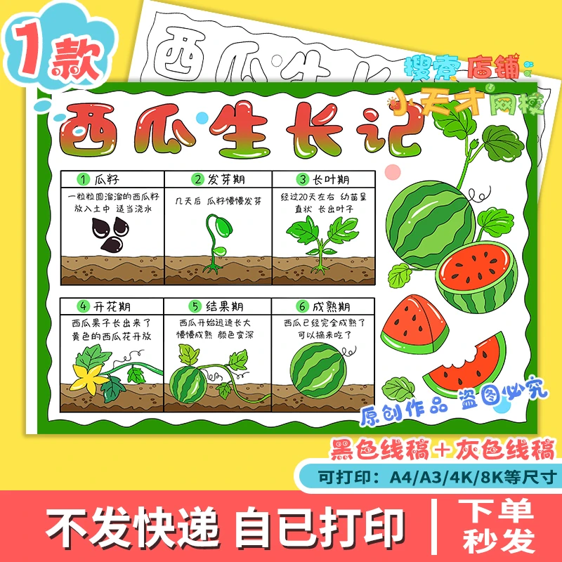西瓜生长记自然笔记手抄报记录植物成长过程观察日记读书卡f119