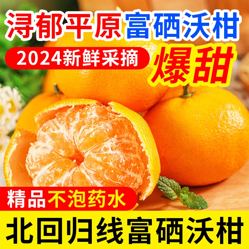 专用箱精选正宗薄皮沃柑当季水果新鲜大果橘子柑孕妇水果包邮批发