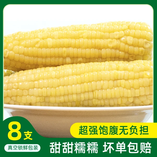 HSWYS精选新季白糯玉米 内蒙古原产地直供 自然好味200g*8根
