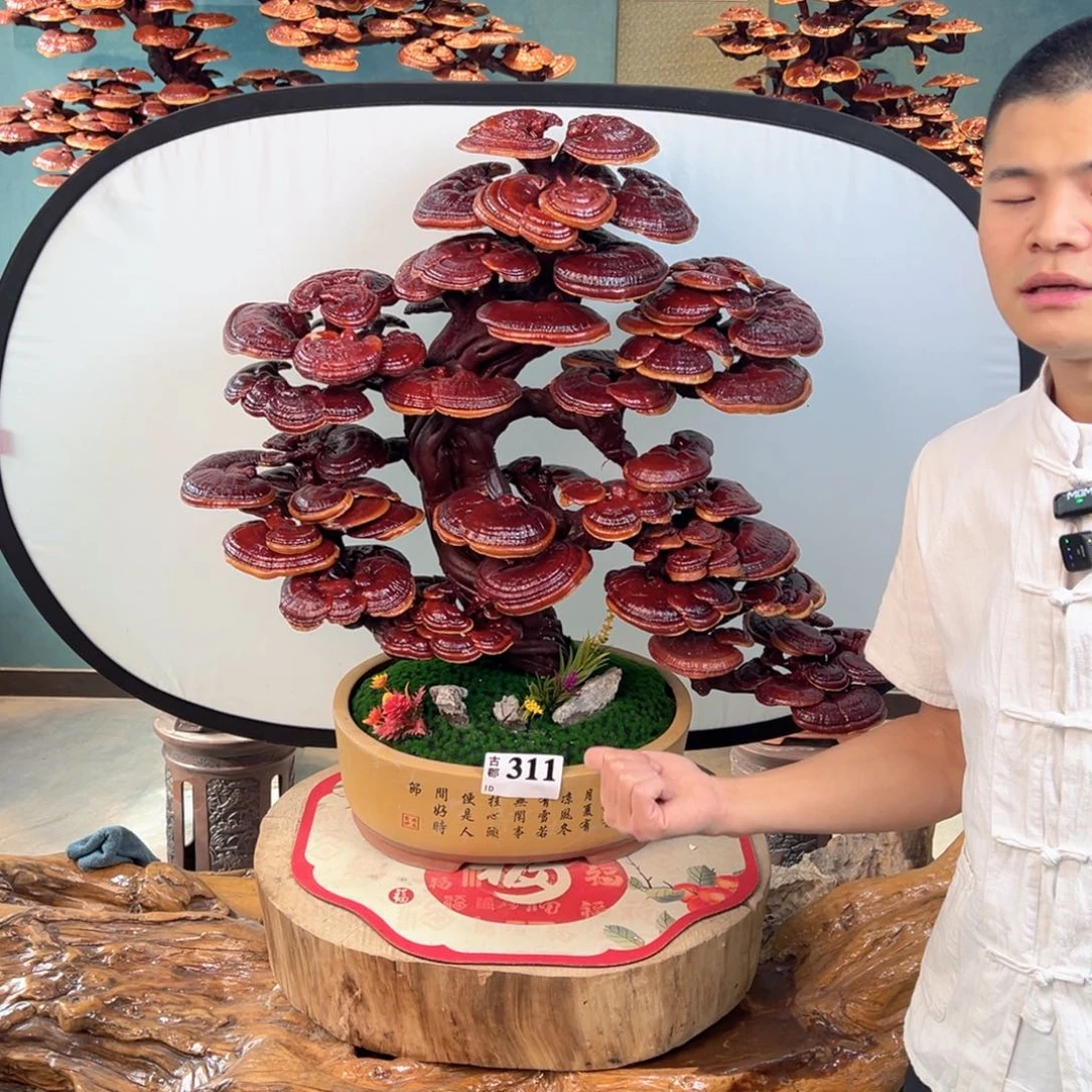 无花朵88888888888