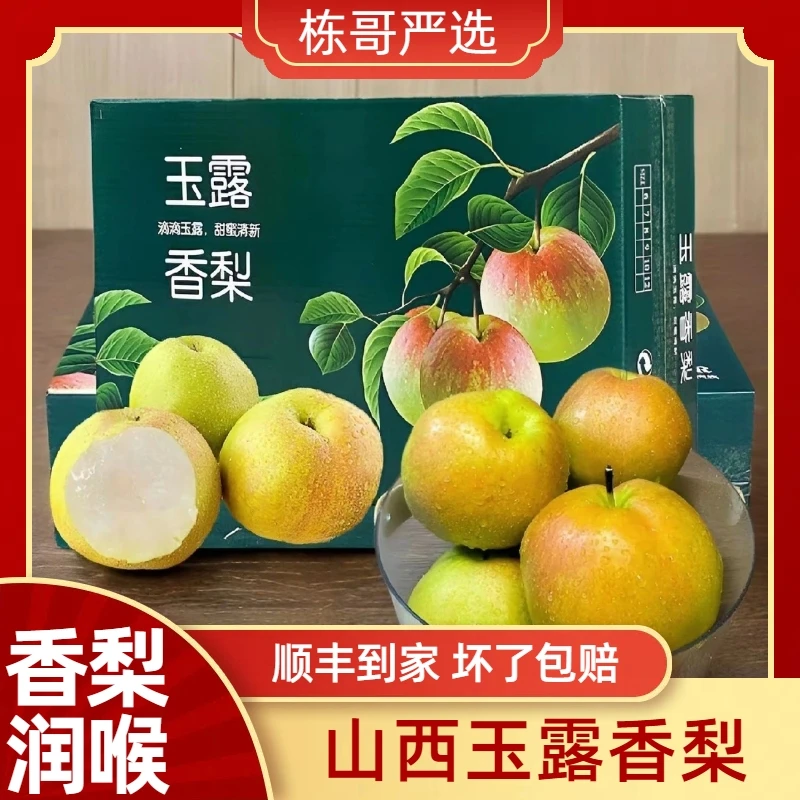 栋哥严选正宗山西玉露香梨应季水果多汁新鲜
