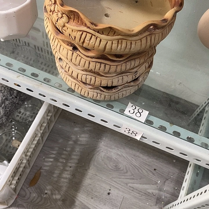 花盆抢购清货马上开始