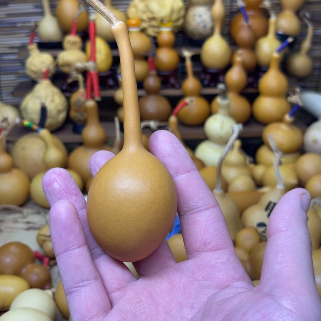 蚂蚁单肚杆子厚皮响响13