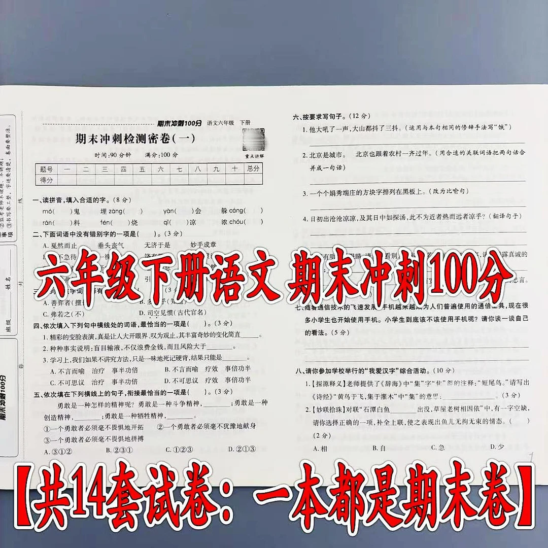 人教版期末冲刺卷六年级下册语文期末冲刺100分测试卷期末复习卷