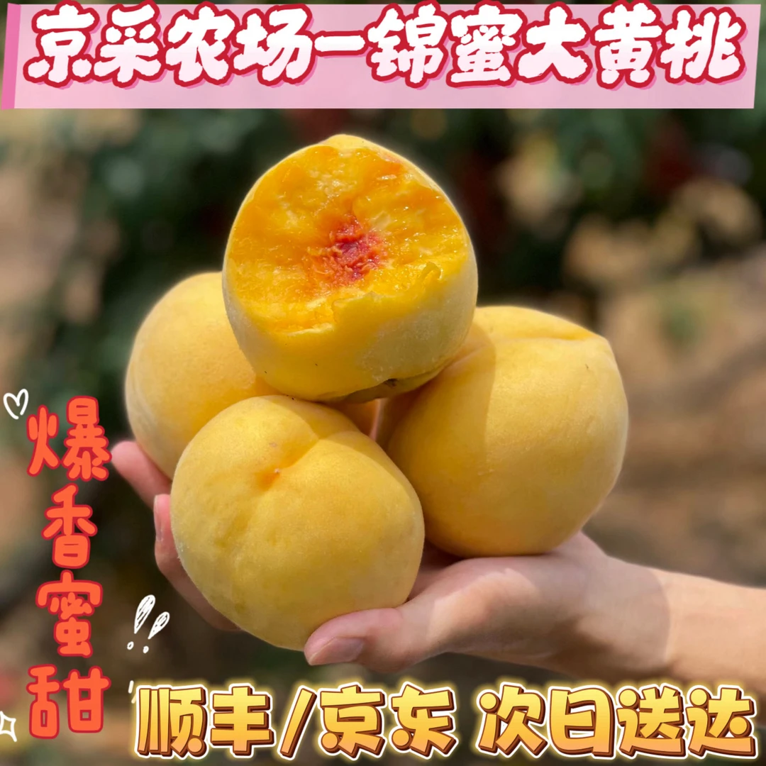 【平谷大桃-锦蜜大黄桃】蜜甜爆汁 又大又甜 桃香四溢（顺丰/京东）包邮北京市