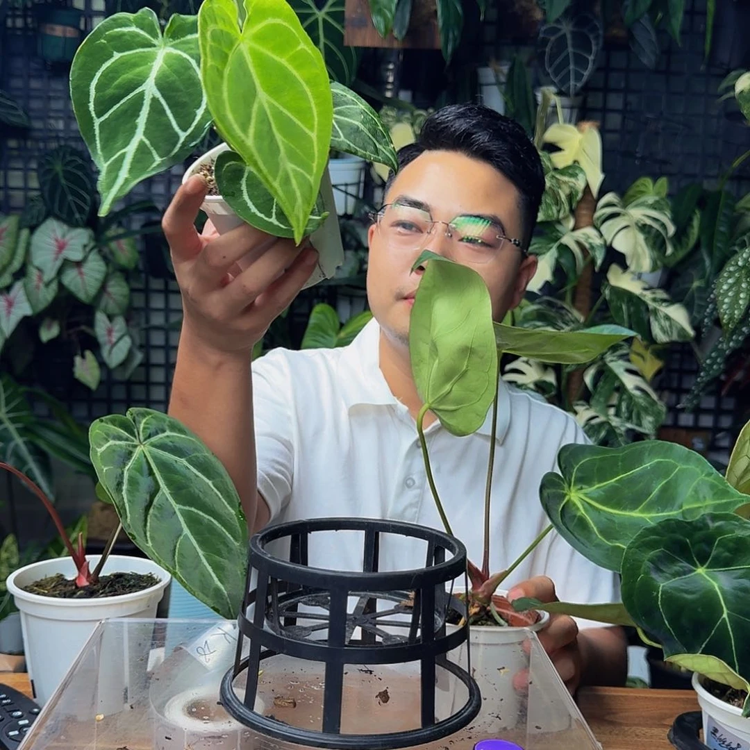 喵***刊无花朵一物一拍K25