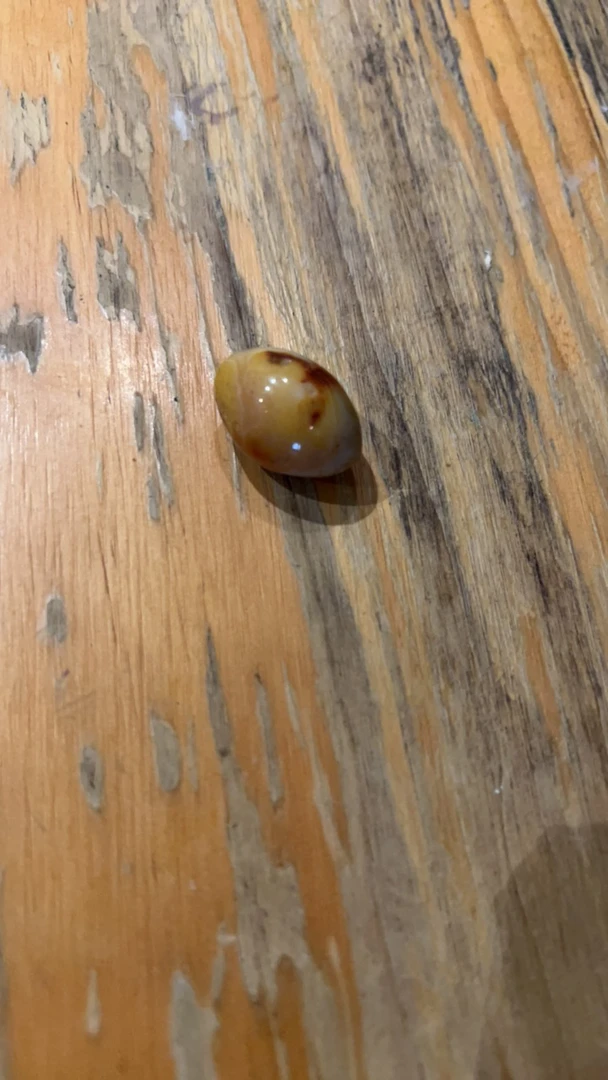 藏地密码，藏式珠宝 71