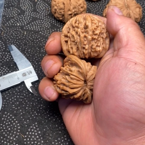 文玩核桃把件西楼5.5