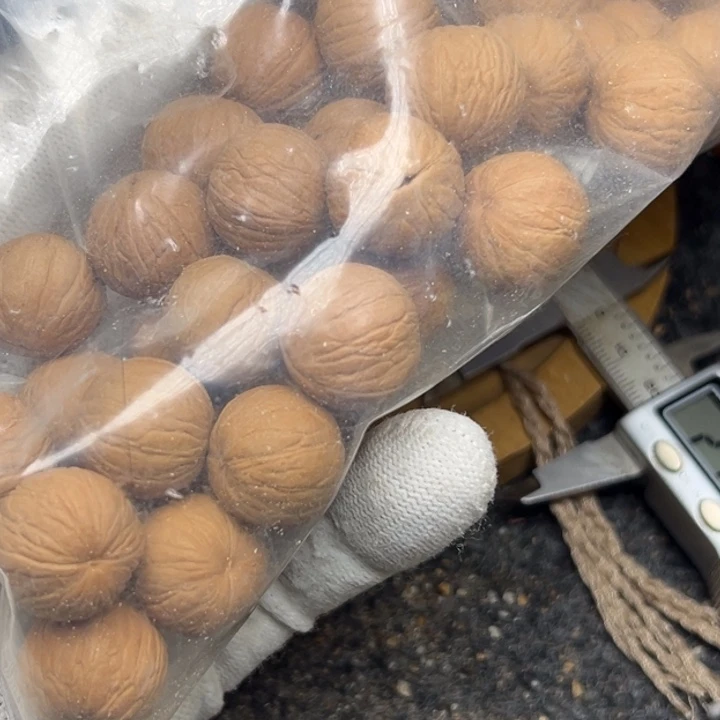 猴头核桃把件聚宝盆17➕体验款