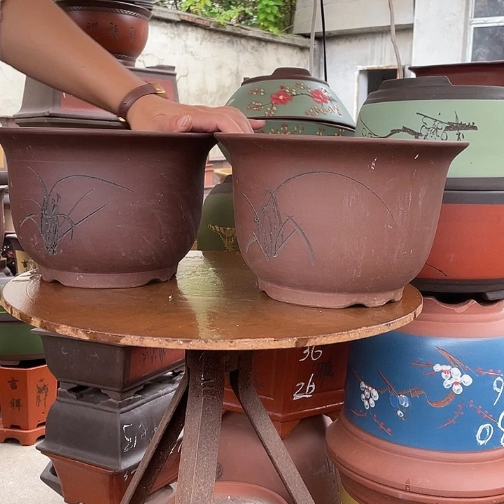 25+25平角金钟花盆紫砂花盆