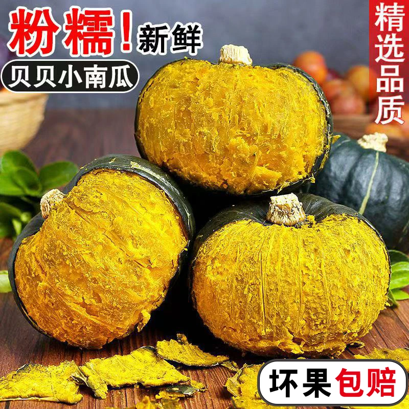 甘肃高原新鲜贝贝南瓜包邮农家种植板栗味粉糯香甜婴儿宝宝辅食