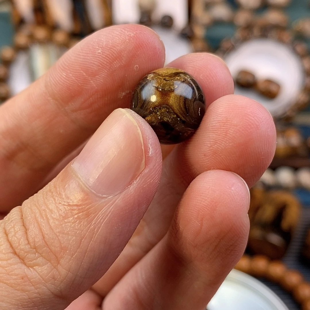 木纯天然海柳血柳1.4