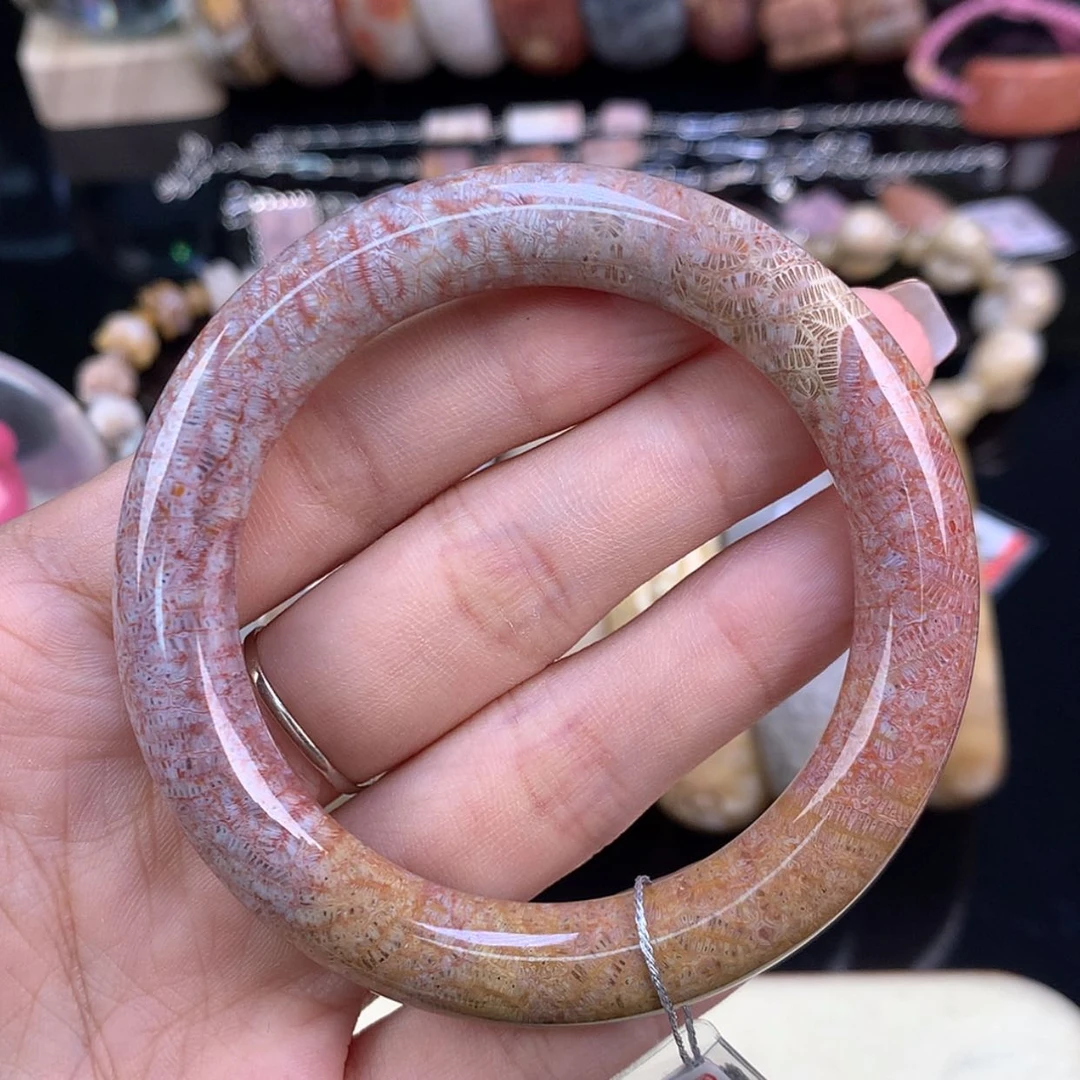 【闪购商品】颈饰未镶嵌硅化珊瑚（珊瑚玉）精美手镯51.9（65号）