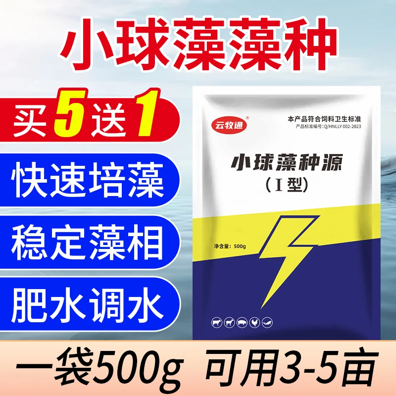 小球藻浓缩藻种快速肥水培藻增加水体营养增氧稳水水产养殖用