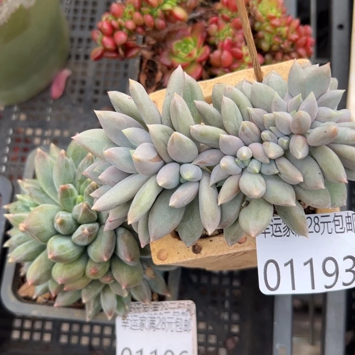 幸运的是我还没遇到