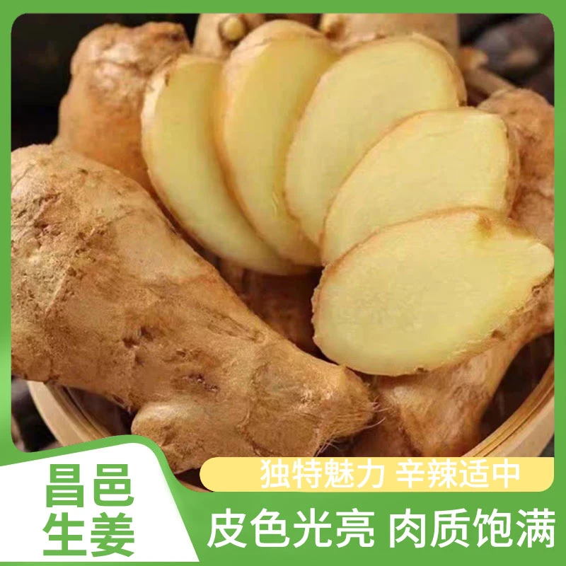 山东批发特产风干无土水洗大黄姜姜块生姜老姜月子姜【单枝小果】