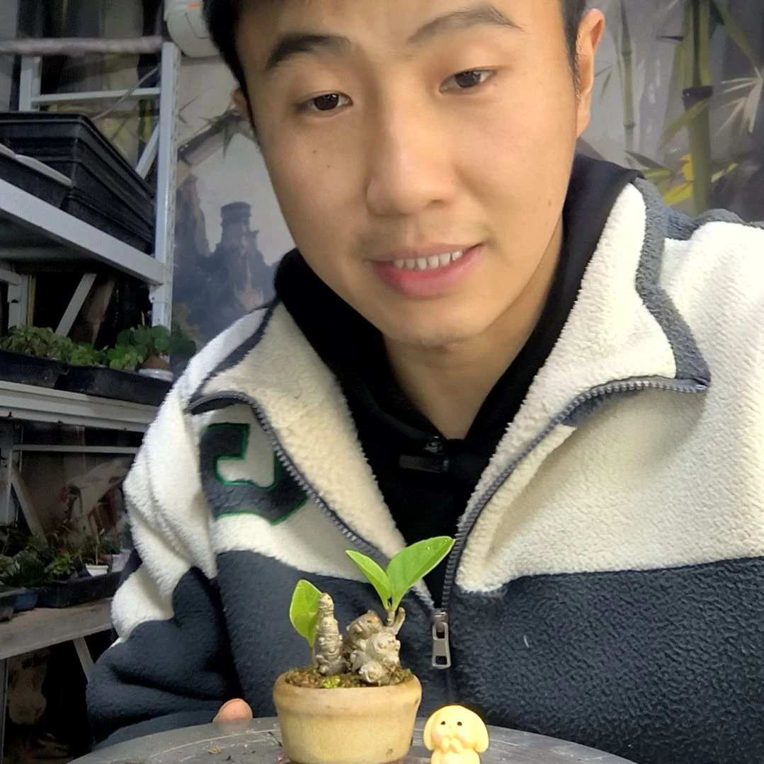 柔*柔中青园艺一物一拍283