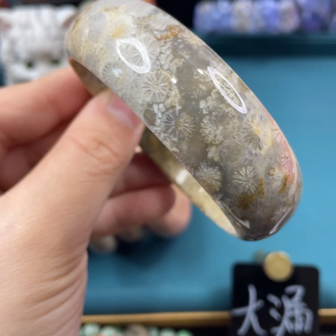 未镶嵌手镯硅化玉