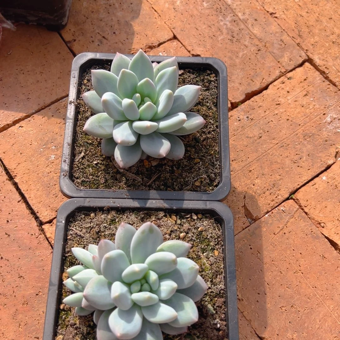 111611111111111111111111