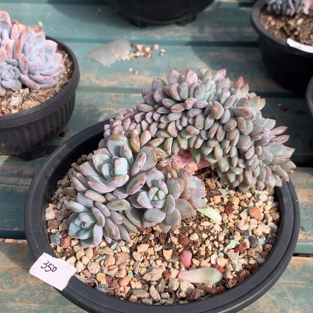 哈哈哈哈哈哈哈哈22