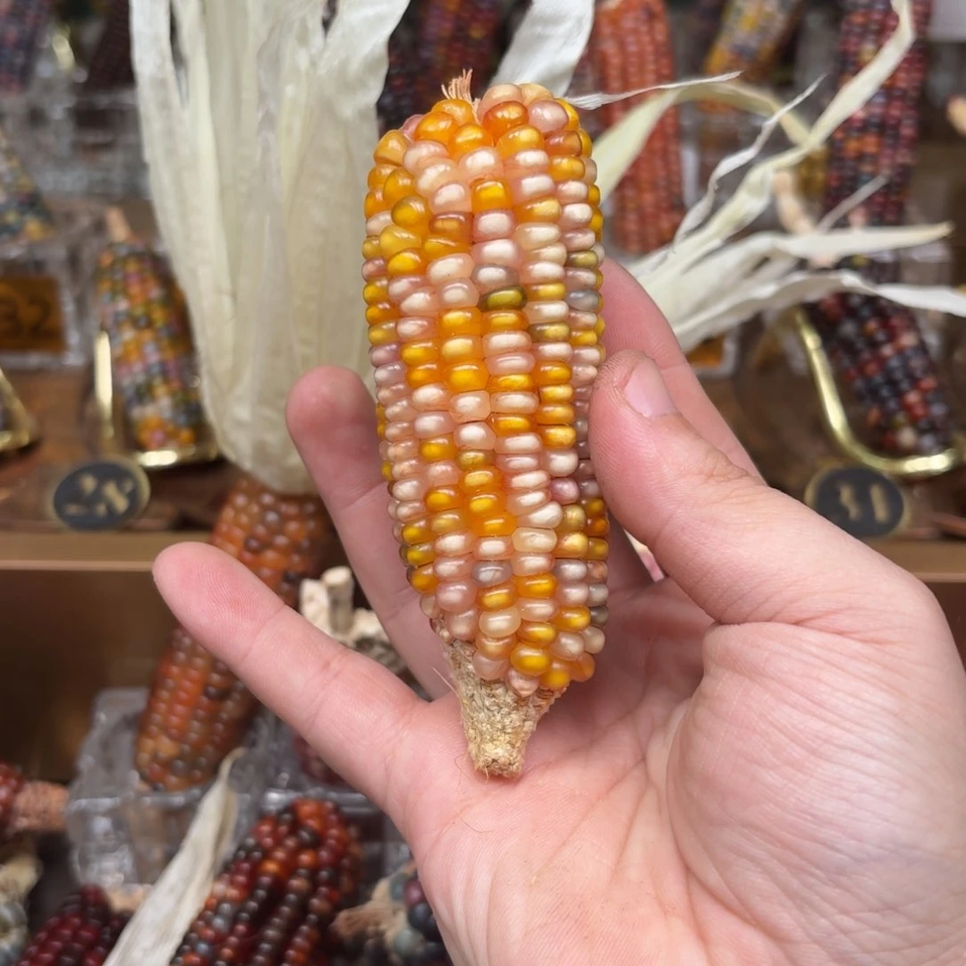 柏香籽/百香籽吊坠古*