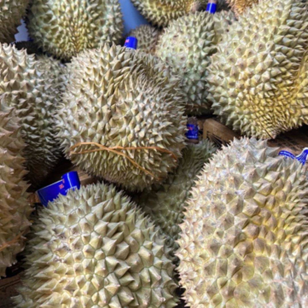 马菲斯泰鲜泰国树熟鲜榴莲（核小）26.8/斤榴莲同城送金枕泰国