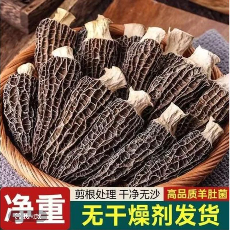 干羊肚菌-2025新货（精品-小颗）头茬羊肚菌-高山林地