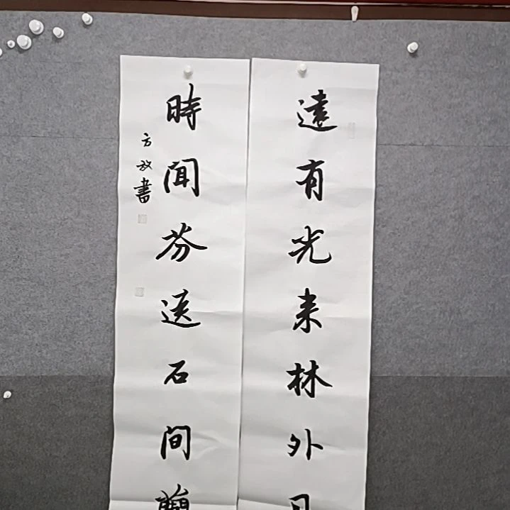 书法车源有光来林外对联书法