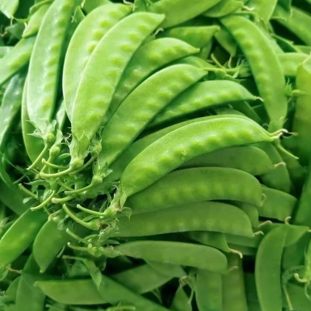 (豌豆荚,豌豆籽)湘西本地老品种